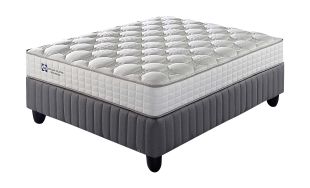 Sealy Willowbridge Firm Queen Bed Set Standard Length