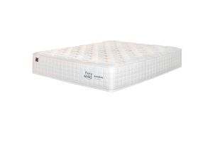 Forty WInks ActivZone Extra Firm Double Mattress Standard Length