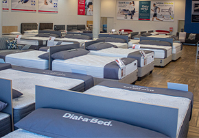 South Africa Loves Shopping at Dial•a•Bed