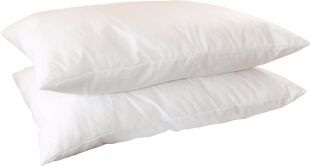 Pearl Fibre Twin Pillow